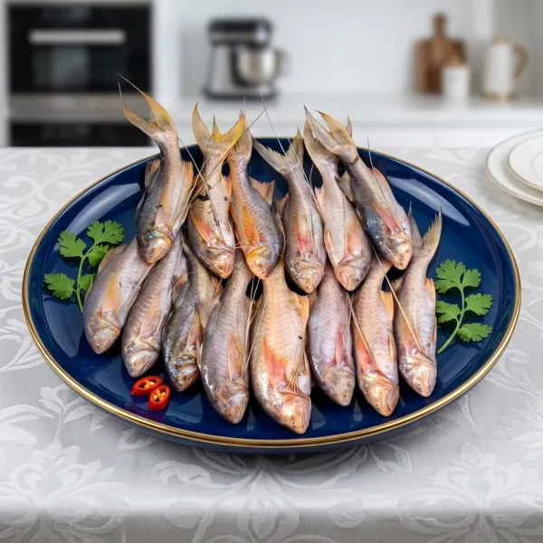 River Tapasi Fish
